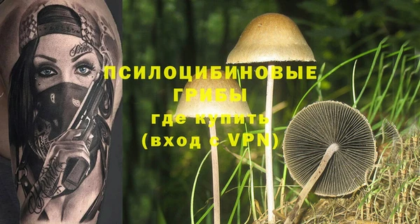 МДПВ Семёнов