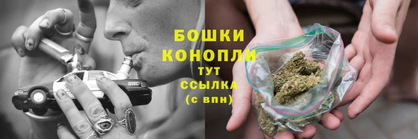 МДПВ Семёнов