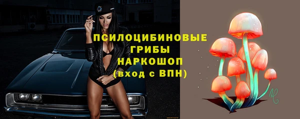 МДПВ Семёнов