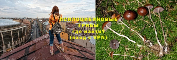 мет Нязепетровск