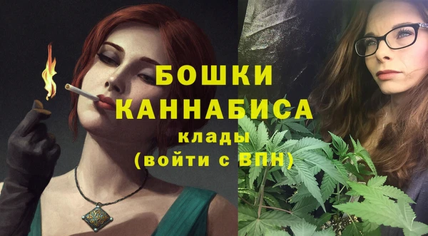 МДПВ Семёнов