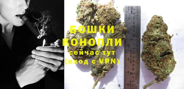 МДПВ Семёнов