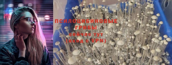 мет Нязепетровск