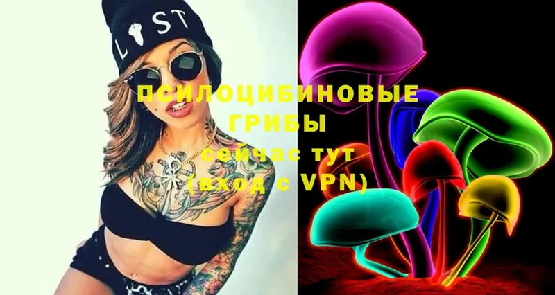 купить наркотики сайты  Алагир  Псилоцибиновые грибы Cubensis 