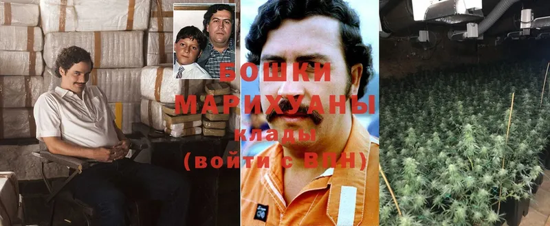 Шишки марихуана сатива  где купить наркоту  Алагир 